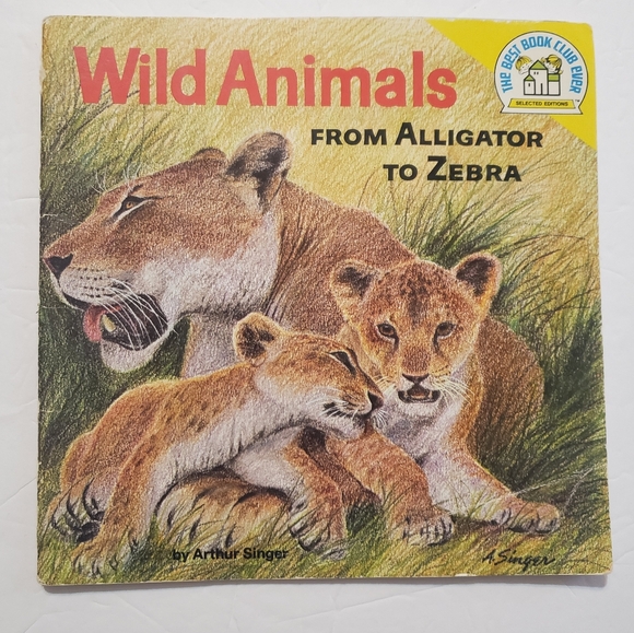 1973 Wild Animals Alphabet Book! Amazing!!!! - Picture 1 of 10